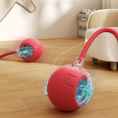 PetSpin Motion Ball