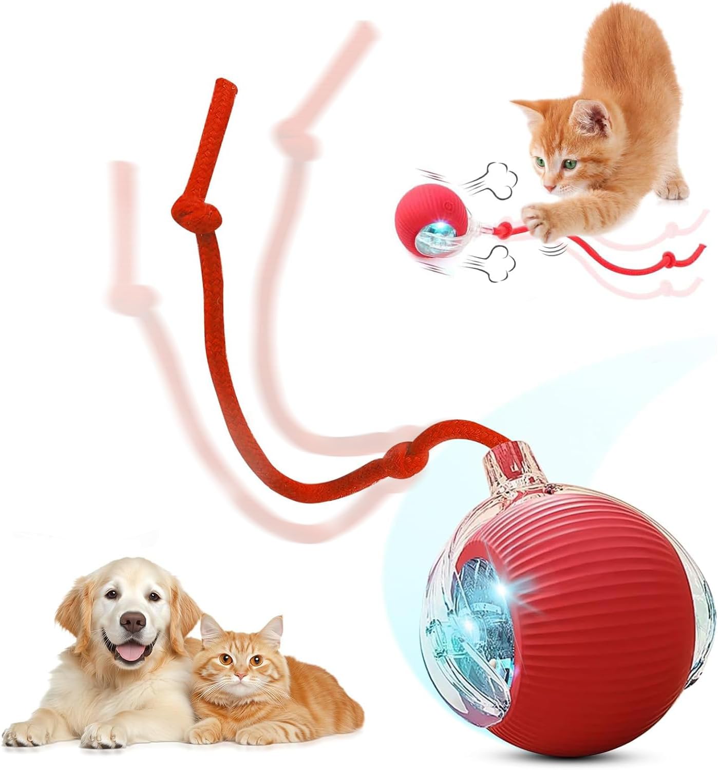 PetSpin Motion Ball